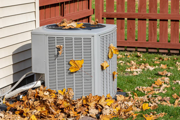 Best HVAC Service Technicians  in Hawthorne, FL